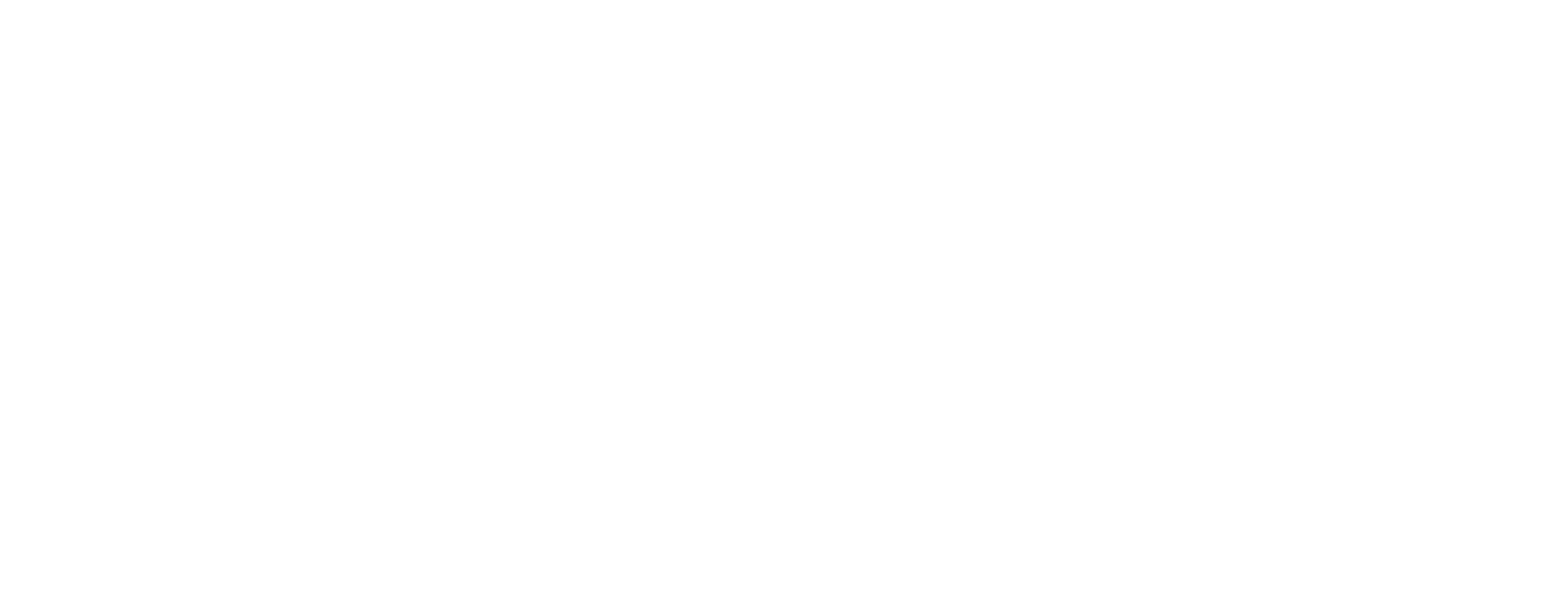 DJ Junior Ferreira